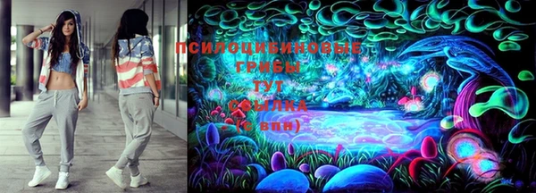 ПСИЛОЦИБИНОВЫЕ ГРИБЫ Лиски