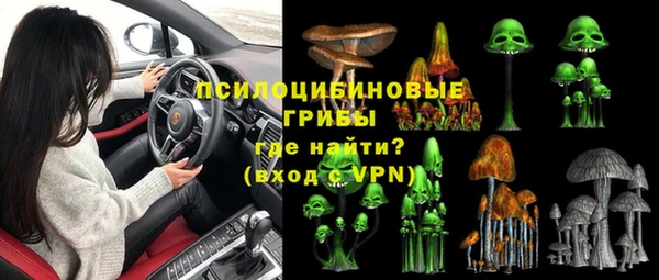 ПСИЛОЦИБИНОВЫЕ ГРИБЫ Лиски